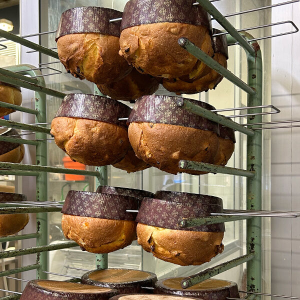 panettoni
