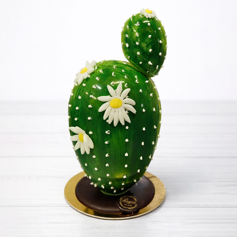 uovo pasqua cactus
